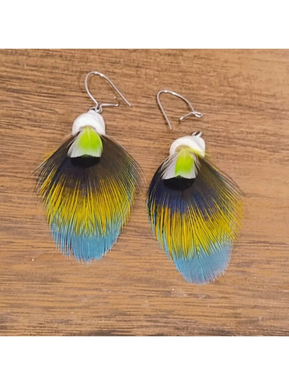 Handmade Real Parrot Feather Sea Shell Dangle Earrings